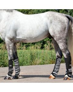 Stinchiere Antimosche Horses Fly Zebra