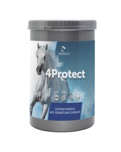 4Protect Equality 