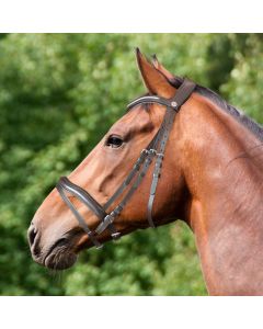 Briglia Equityum Shaped York