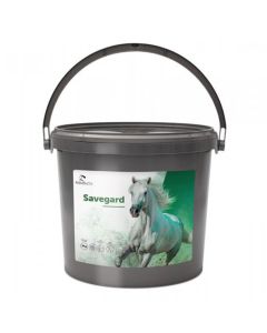 Savegard Equality 