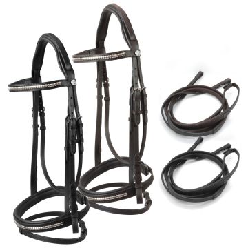 Briglia Con Redini Horses Clincher
