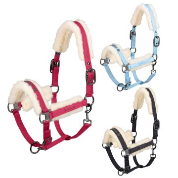 Cavezza Eskadron Glossy Evo-Wool Reflexx
