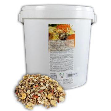 Pastone Fresco Officinalis Carota
