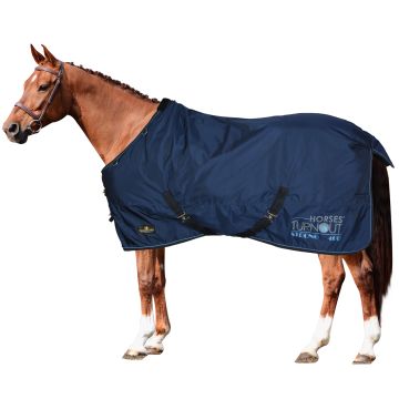 Coperta Paddock  Horses Turnout Strong 400gr