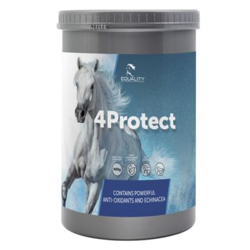 4Protect Equality 