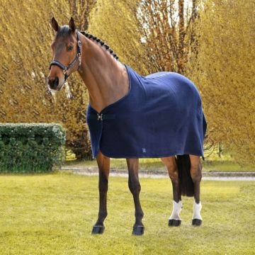Coperta Cavallo in Lana Equiline Wool