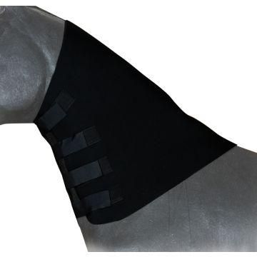 Fasciacollo 