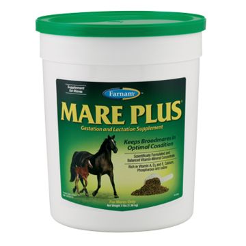 Mare Plus Farnam