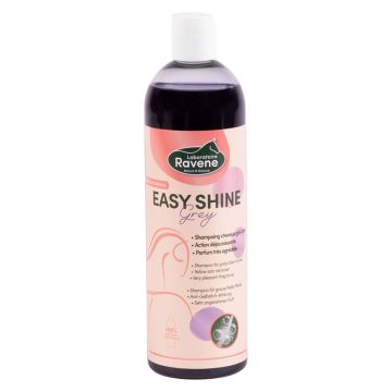 Shampoo Ravene Easy Shine Grey