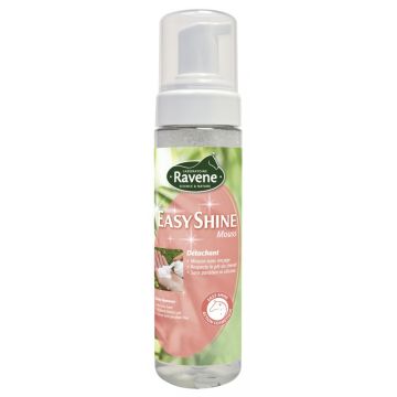 Shampoo Secco Mouss Ravene Easy Shine