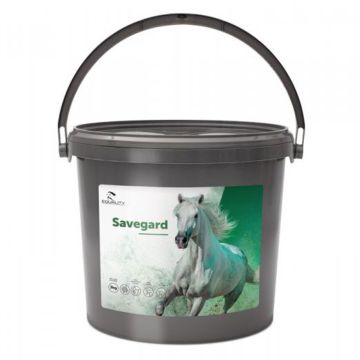 Savegard Equality 