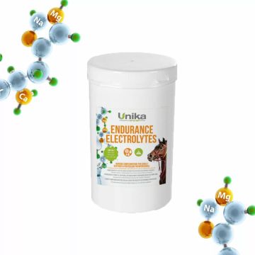 Endurance Electrolyte Unika