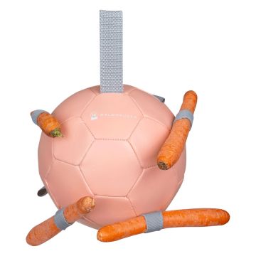 Palla CarrotBall Linnea